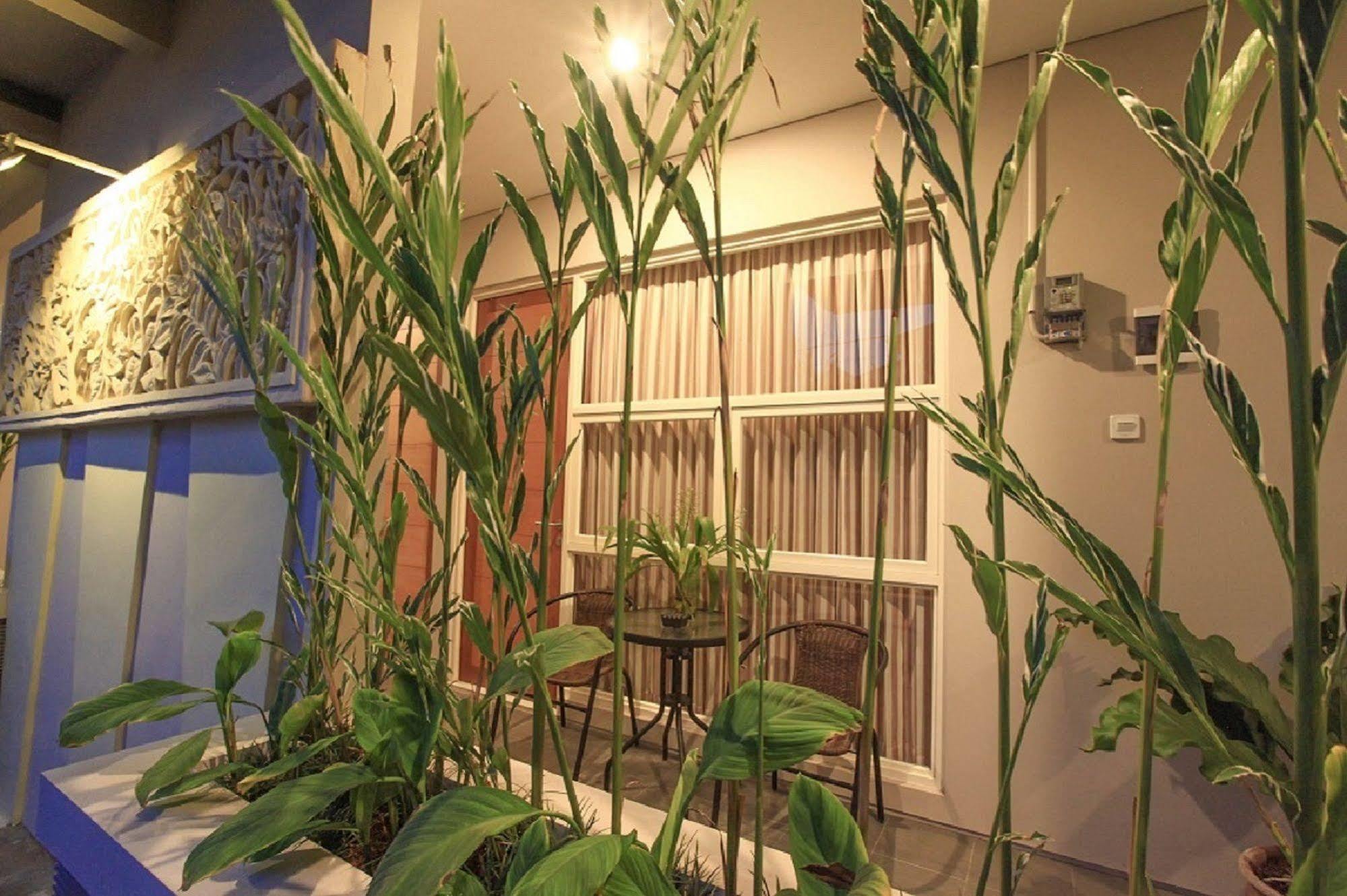 אפרטהוטל דנפסאר Bali True Living מראה חיצוני תמונה